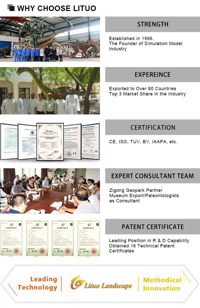 4WHY CHOOSE LITUO(001)