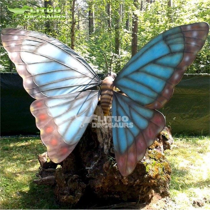 3Butterfly(001)