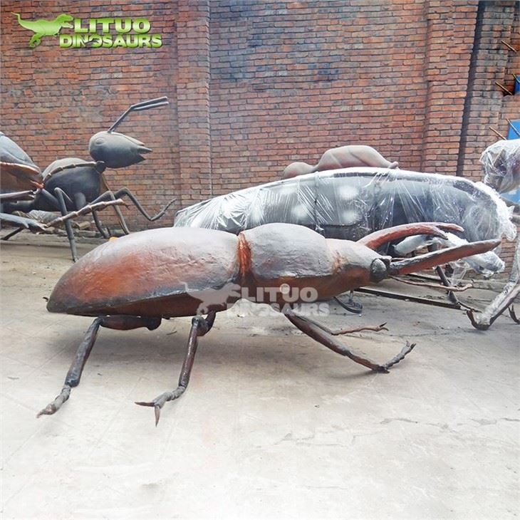2Stag Beetle(001)