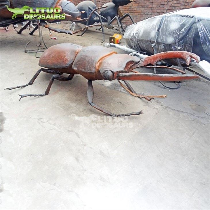 3Insect Exhibit Stag Beetle(001)