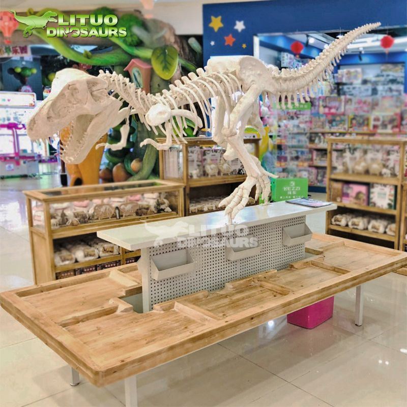Tablo Fosil Fosil Dinozò ak chèz