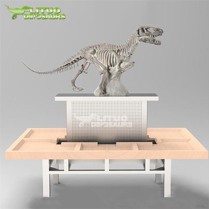 3Dinosaur Fossil Excavation(001)