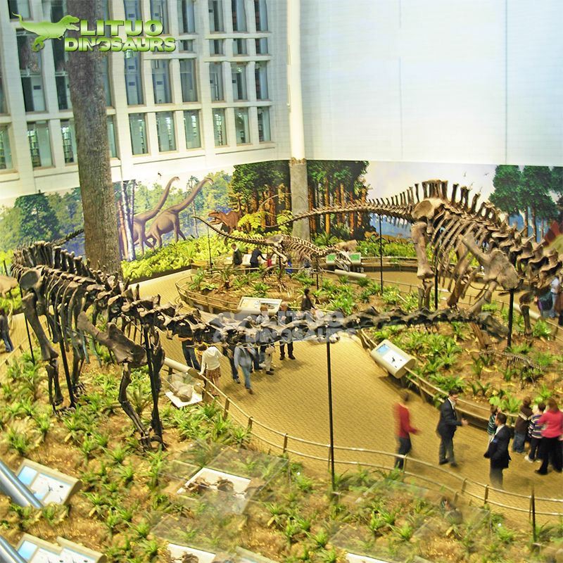 Diplodocus Skeleton