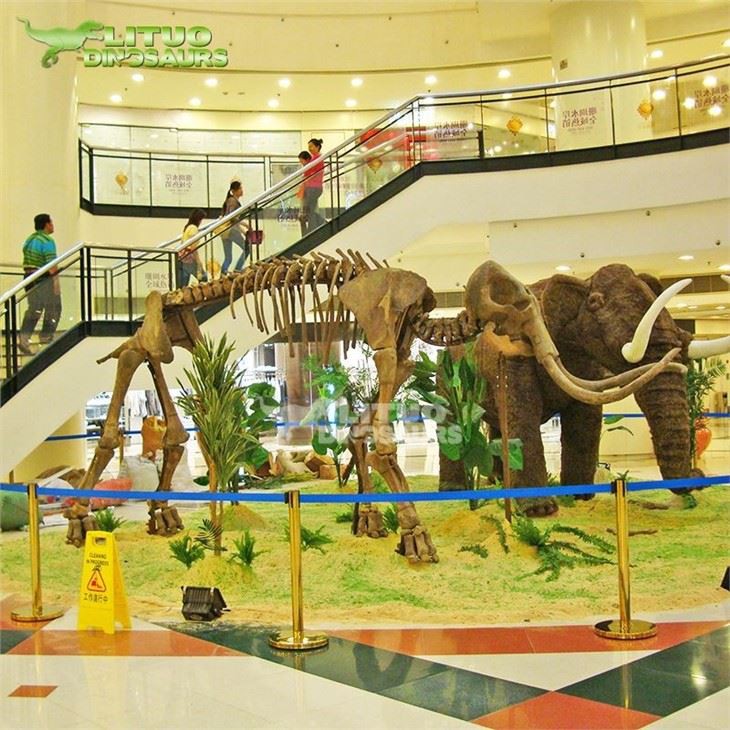 3animal mammoth skeleton(001)