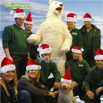 Animatronic Polar Bear