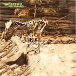 Skelèt Ceratosaurus