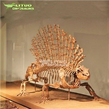 Kilè eskèlèt Edaphosaurus