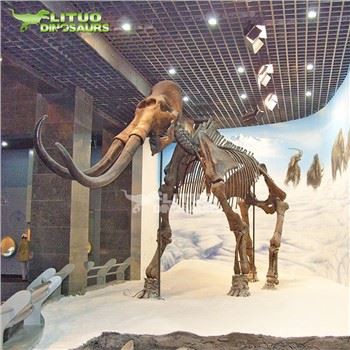 Mamout kilè eskèlèt