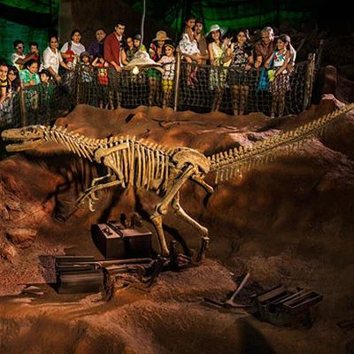 Velociraptor kilè eskèlèt