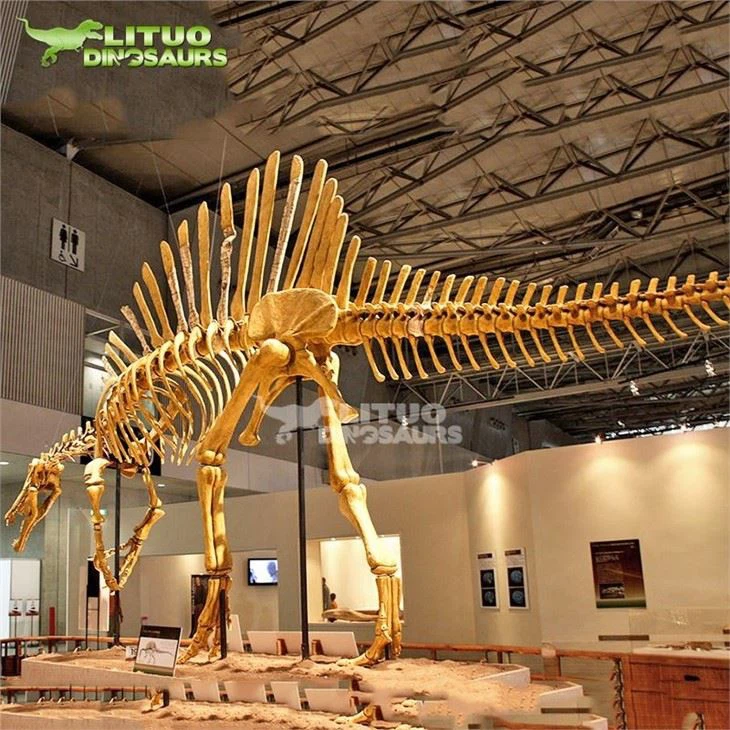 2Artificial dinosaur fossil Spinosaurus(001)