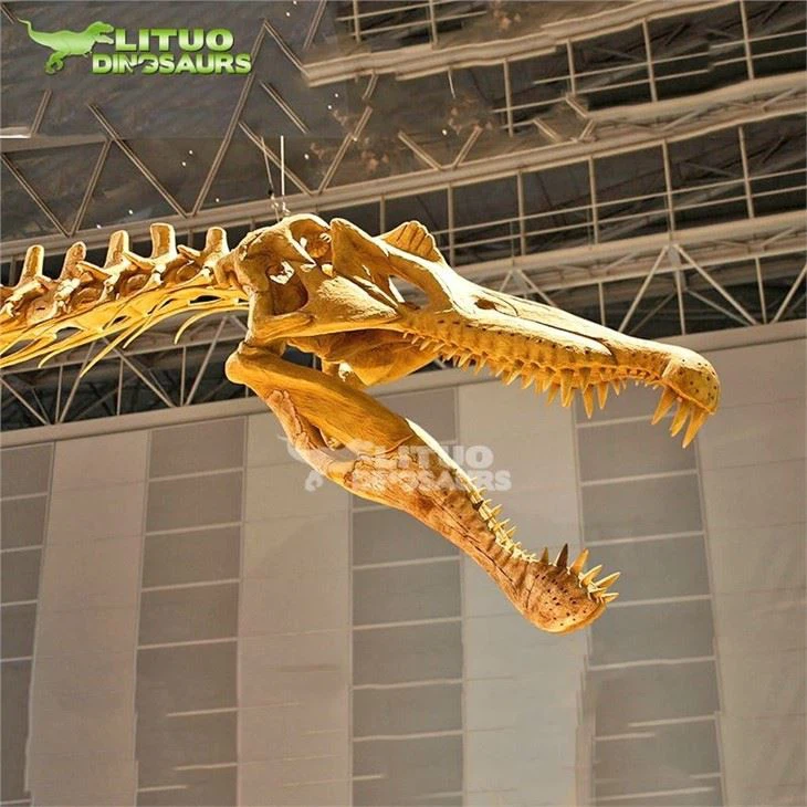 4fossil Spinosaurus(001)